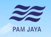 perbedaan paljaya Pam Jaya dan palyja