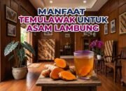 manfaat temulawak untuk asam lambung