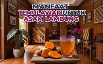 Kisah Sarofah Sembuh dari Asam Lambung Siksa Perut: Rahasianya Cuma Rebusan Temulawak