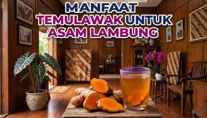 Kisah Sarofah Sembuh dari Asam Lambung Siksa Perut: Rahasianya Cuma Rebusan Temulawak
