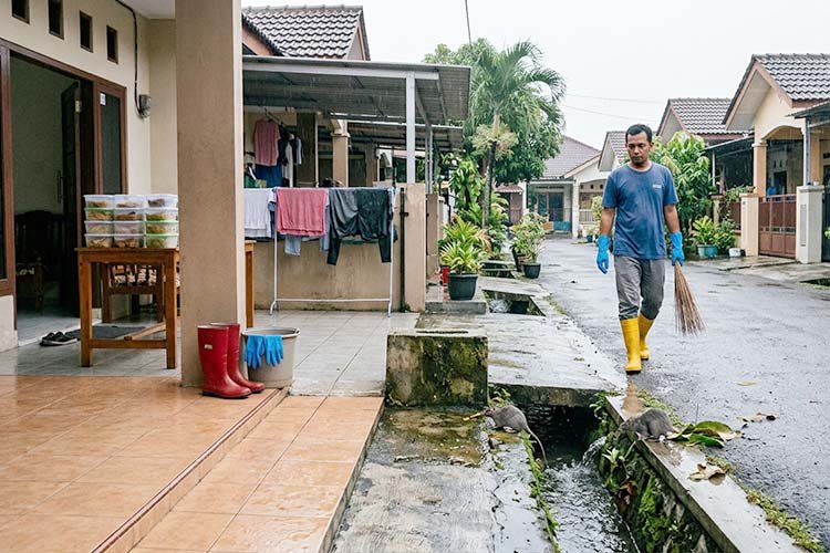 mencegah leptospirosis