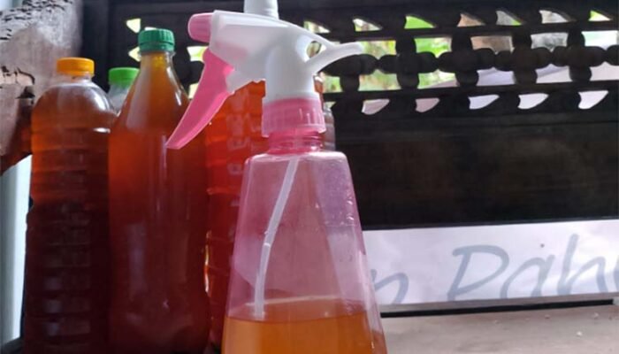 Mengenal Eco Enzyme, Cara Membuat dan Manfaatnya