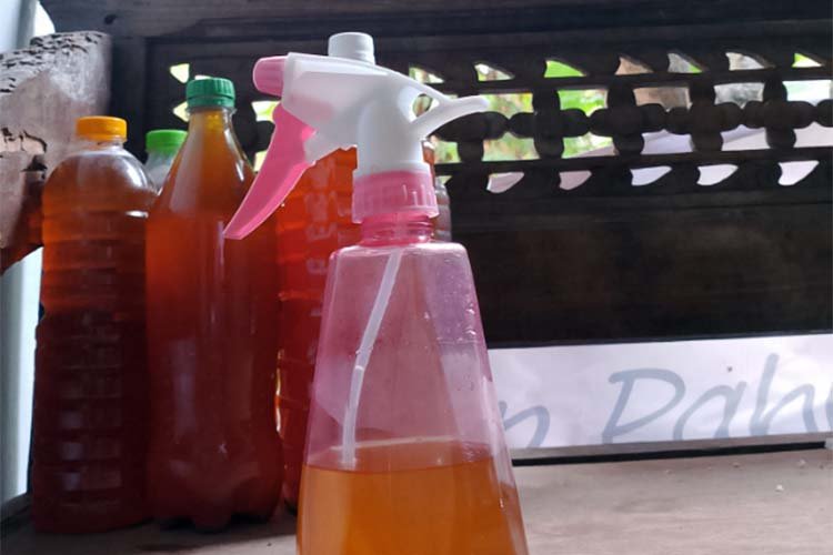 eco enzyme