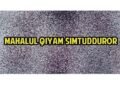 mahalul qiyam simtudduror