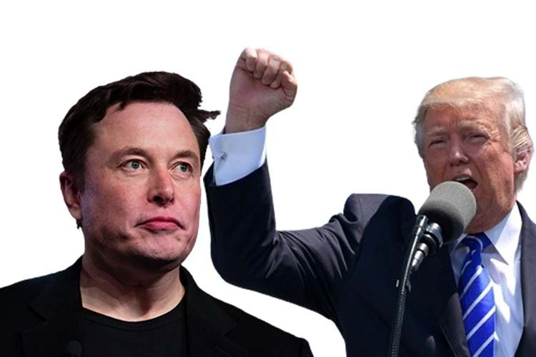 Trump Elon