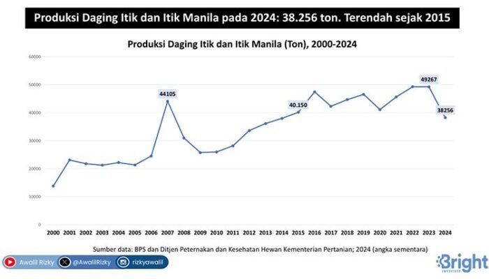 Ekonom Soroti Merosotnya Produksi Daging Ayam Kampung dan Itik