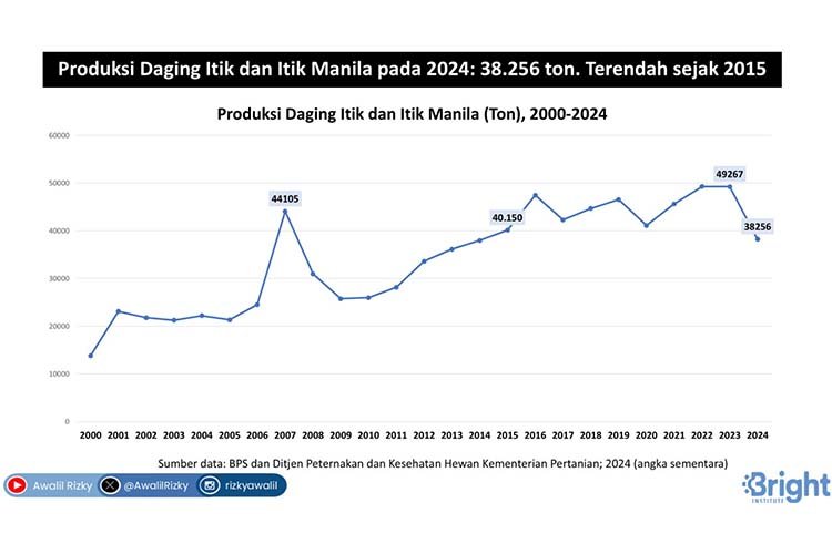 Produksi Daging Ayam Kampung dan Itik
