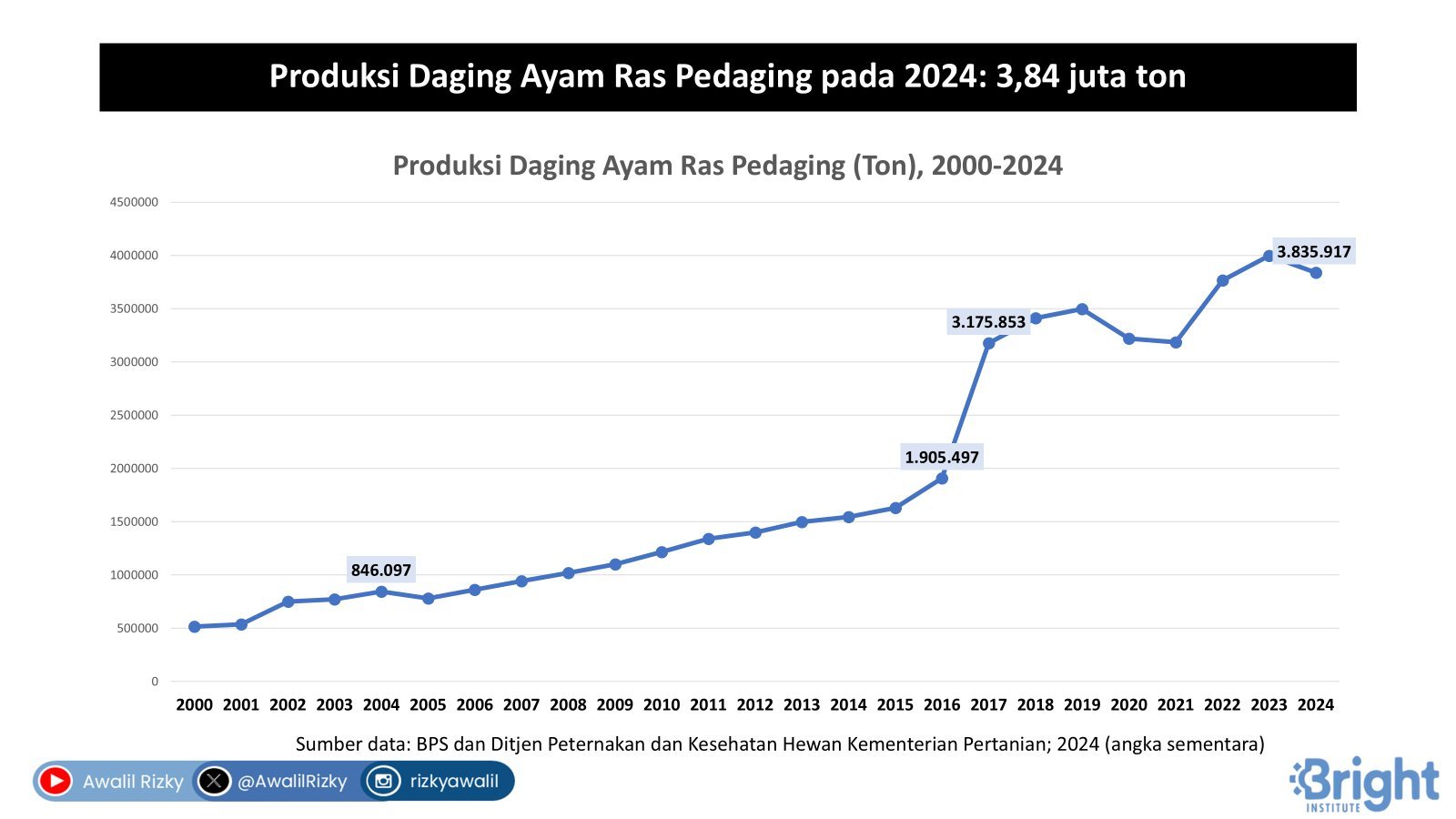 produksi daging ayam ras 2024
