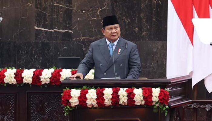 Demokrasi yang Merosot, Ekonomi yang Rapuh: Sebuah Refleksi