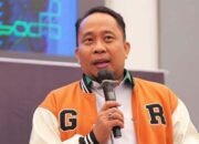 Deforestrasi Masif dan Regulasi yang Permisif