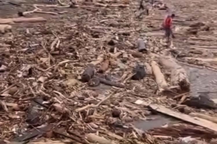 banjir dan longsor sumatera