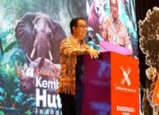 Anies Baswedan 97 Persen Deforestasi di Indonesia Terjadi Secara Legal
