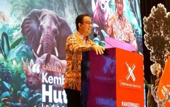 Anies Baswedan: 97 Persen Deforestasi di Indonesia Terjadi Secara Legal