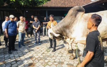 Hasilkan Sapi Premium, Ahmad Luthfi Sebut Peternakan Sapi di Purworejo Ini Layak Jadi Percontohan Nasional