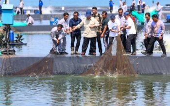 Prabowo Panen Raya, Ahmad Luthfi Sebut Budidaya Udang Memiliki Prospek Bag