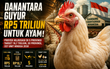 Proyek Hilirisasi Ayam Rp16,7 Triliun Siap Dibangun di 30 Provinsi, Solusi Pangan atau Beban Baru Negara?