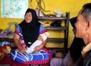 bayi wonosobo muhammad mbg prabowo