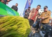 Produksi Padi Jateng Sudah Capai 6,69 Juta Ton