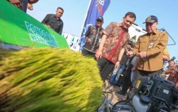 Jateng Panen 6,69 Juta Ton Padi, Luthfi Yakin Target 10,5 Juta Ton Tercapai