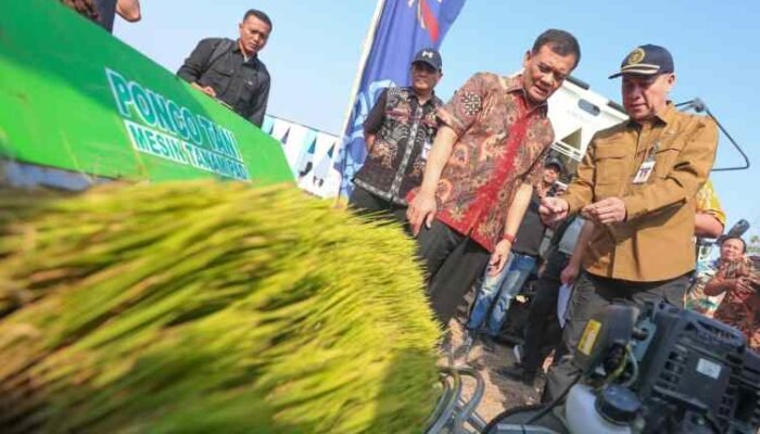 Jateng Panen 6,69 Juta Ton Padi, Luthfi Yakin Target 10,5 Juta Ton Tercapai