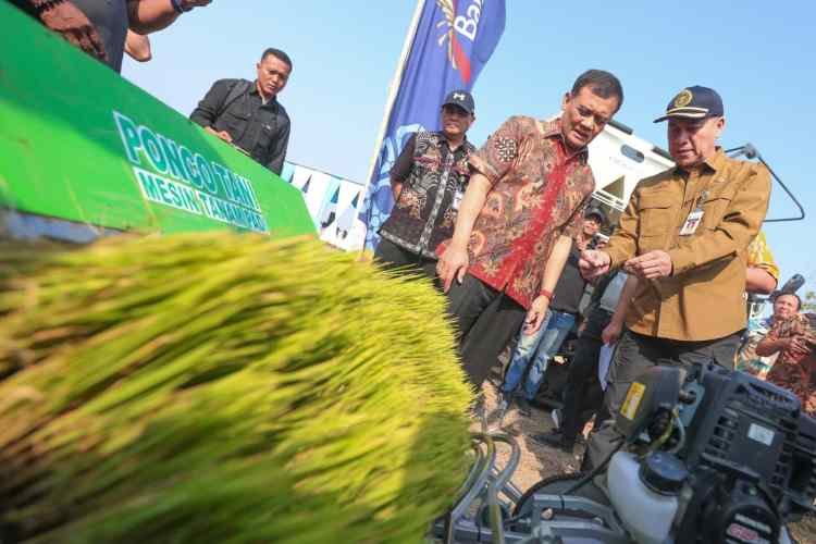 Produksi Padi Jateng Sudah Capai 6,69 Juta Ton