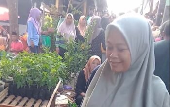 Pasar Kliwon Gunungpati Membeludak, Ibu-Ibu Berburu Bibit Cabai hingga Tanaman Hortikultura