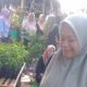 Pasar Kliwon Gunungpati Membeludak, Ibu-Ibu Berburu Bibit Cabai hingga Tanaman Hortikultura
